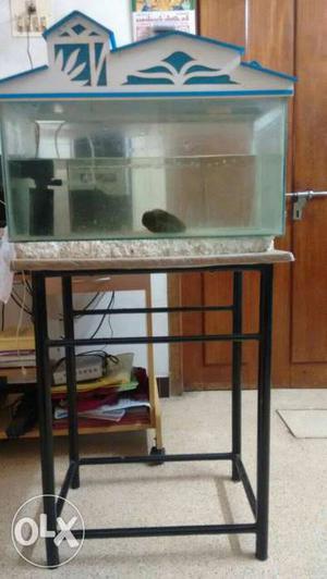 Fish tank with both table and Oscar fish.