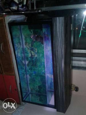 Fish tank with wooden cover fitted with light