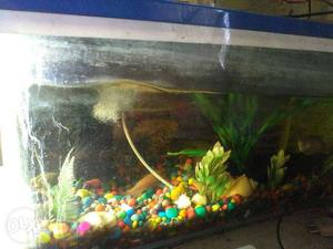 I want to sale my 2ft aquarium, with all accesories, price
