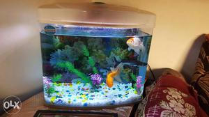 I want to sall my fish tank very good