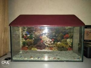 Maroon Framed Fish Tank