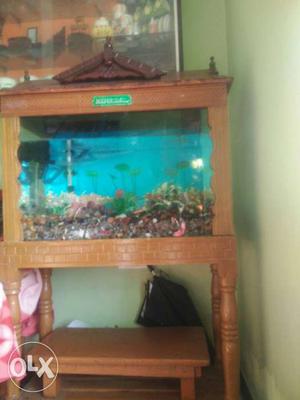 Rectangular Brown Wooden Frame Fish Tank