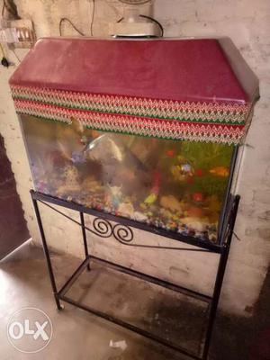 Red And Gray Frame Fish Tank