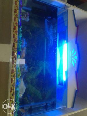 White Wooden Framed Fish Tank
