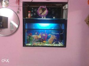  fish tank and in side materials