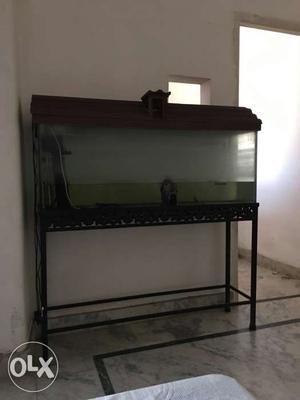 4feet aquarium with filter pup brand new condition