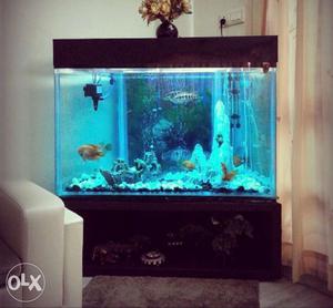 A beautifull Aquarium with 4ft front 2 ft back 3
