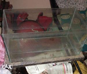 Aquarium 3 months old with stand Excellent condition