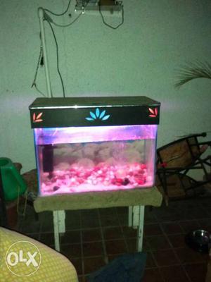 Aquarium with filter and pump 2ft/1,5ft/1ft