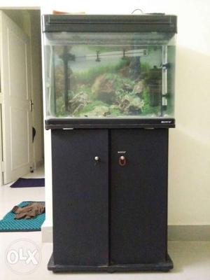 Aqurium 2X1X1.5 feet imported fish tank. with