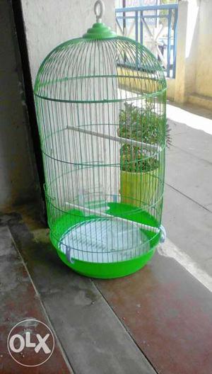 Birds Cage available