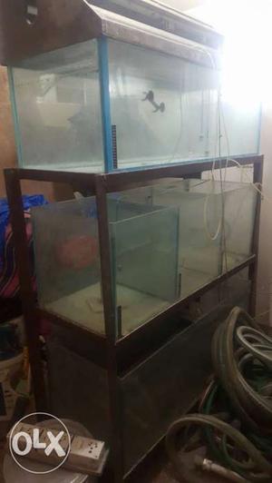 Blue Metal Frame Fish Tank