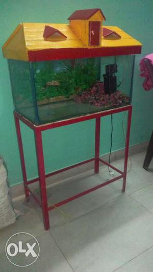 Fish Aquarium (size 24'', X 12'' X 12'') + Hut