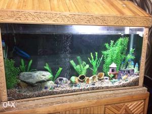 Fish Tank Set