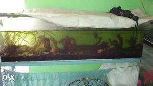 Fish tank with all accessories 4feet