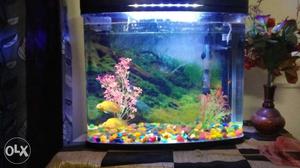 I want to sell this aquarium which is in new
