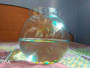 My new not using fish bowl