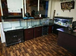 New Imported fish tank starts from 