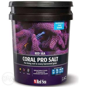 Red Sea Coral Pro Salt 7kg Bucket Available For