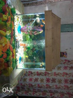 Rectangular Fish Tank With Brown Wooden Frame