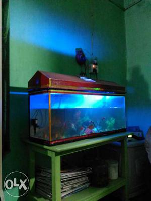 Red Fish Tank