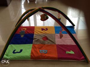 Baby's Multicolored Activity Gym