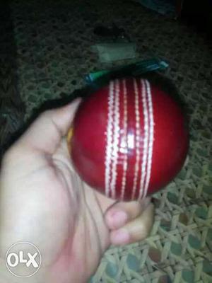 Cricket leather ball club.. good for 35 over