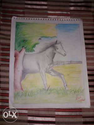 Drawing Of White Horse Beside Tree