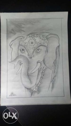 Elephant Head Sketch