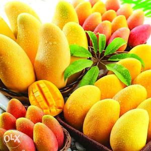 Kesar Mango Of Talala Gir (King Of Fruits) & Order Now
