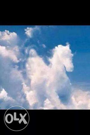 Man Riding Horse Shape Clouds