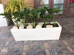 White fibre planter (height 9" length 30") per piece without