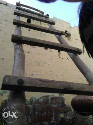 Brown Wooden Bamboo Ladder