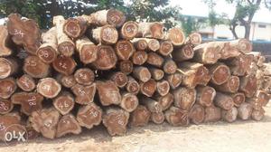 New teak wood  company production