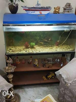 1.aquarium 4 ft *1.5 ft with stand. 2.fishes and