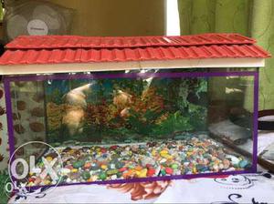 2 feet fish tank with roof cover