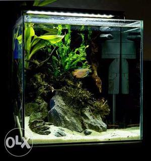 30cm nano cube with substrate, drift wood &