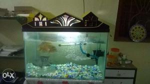 55 Gal Aquarium with all accessories and two Fish (Texas and