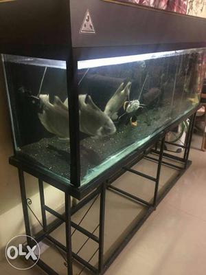 6 ft aquarium with stand and top cover good condition