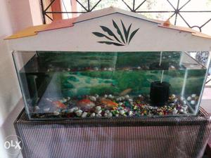 Aquarium and accessories available including