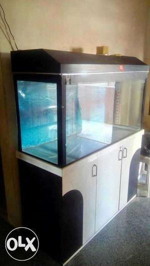 Black Frame Fish Tank With Cabinet