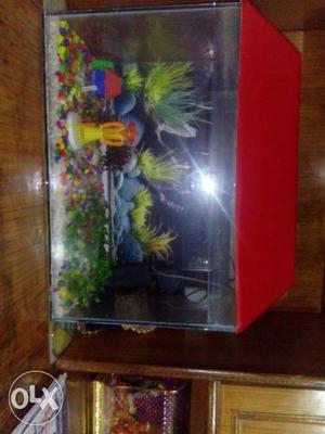 Fish Aquarium one month old along with medicines, fish net
