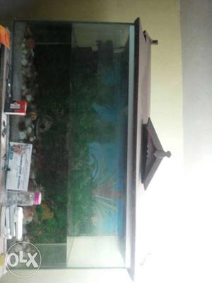 Grey Framed Fish Tank