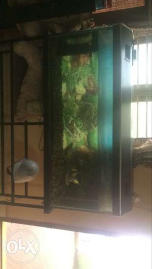 I am selling fish tank for sell its 4feet by 1