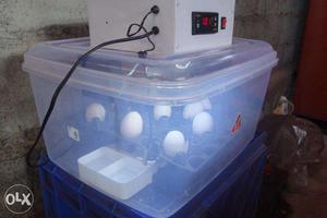 Low price Egg incubator India -kerala-Thrissur