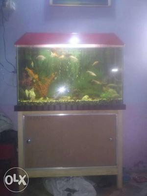 Rectangular Red Framed Fish Tank