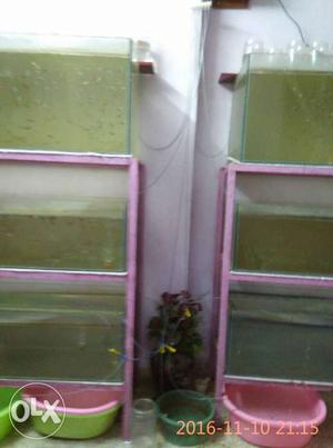 Six fish tanks with stand. Size 38x18x18".used