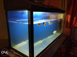 Tank with tankstand for sale.. 4feet tank..with