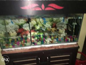 Want to sell my home aquarium measuring 30x12x12