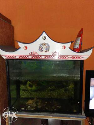 White And Red Framed Fish Tank